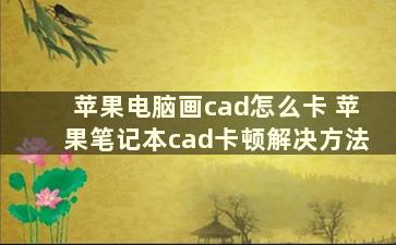 苹果电脑画cad怎么卡 苹果笔记本cad卡顿解决方法